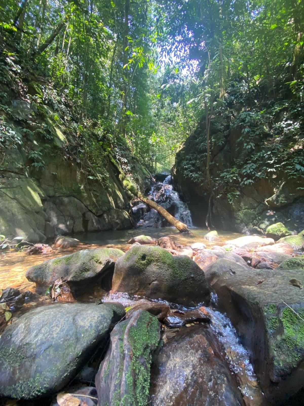 Eco Trekking Lodge, Bar & Jungle Tour'S Bukit Lawang Εξωτερικό φωτογραφία