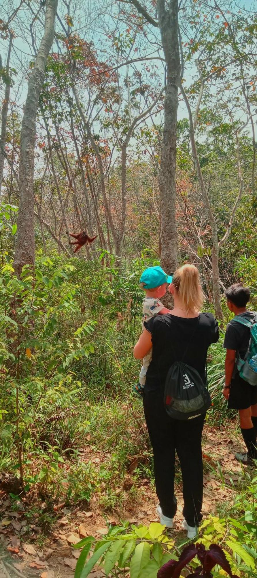 Eco Trekking Lodge, Bar & Jungle Tour'S Bukit Lawang Εξωτερικό φωτογραφία