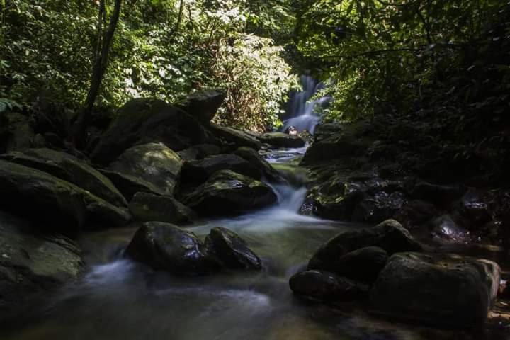 Eco Trekking Lodge, Bar & Jungle Tour'S Bukit Lawang Εξωτερικό φωτογραφία