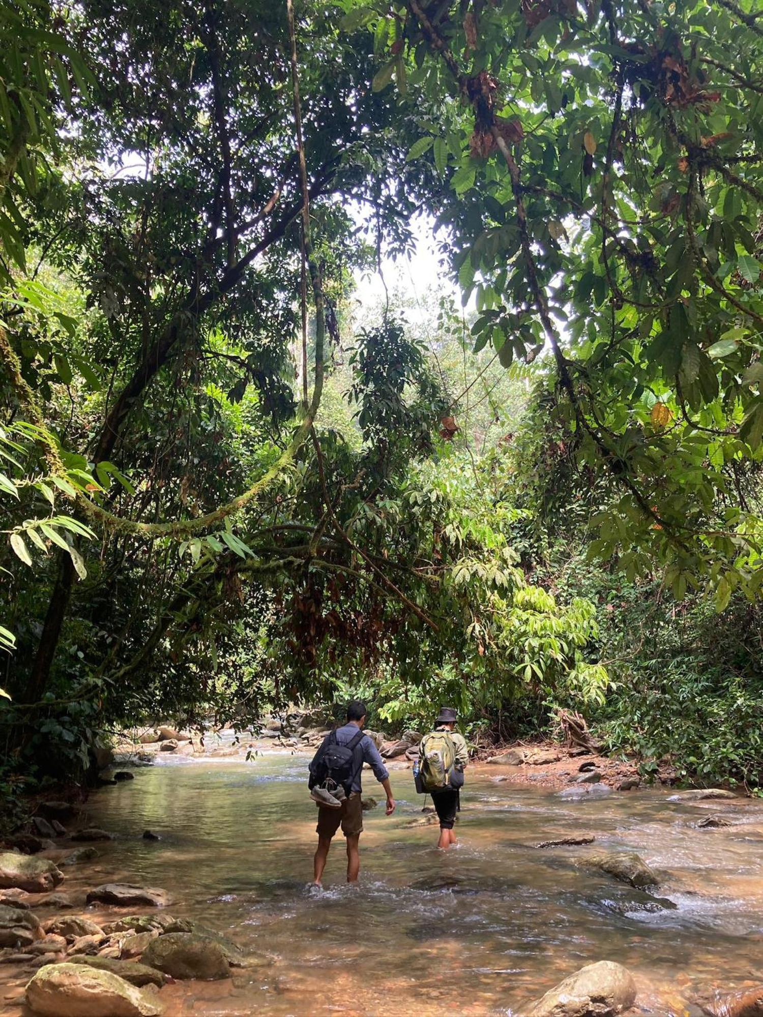 Eco Trekking Lodge, Bar & Jungle Tour'S Bukit Lawang Εξωτερικό φωτογραφία