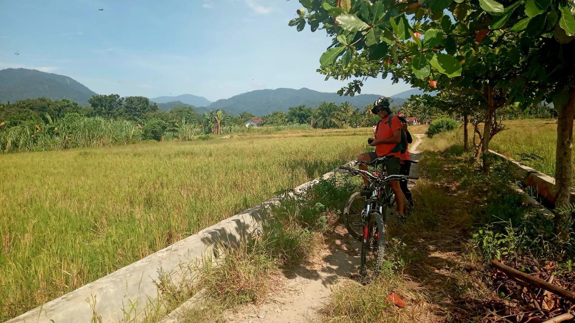 Eco Trekking Lodge, Bar & Jungle Tour'S Bukit Lawang Εξωτερικό φωτογραφία