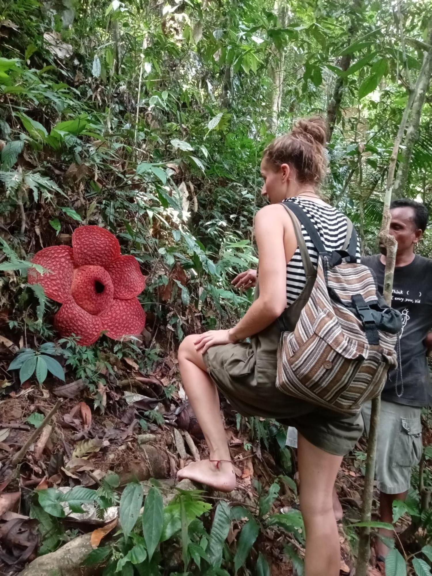 Eco Trekking Lodge, Bar & Jungle Tour'S Bukit Lawang Εξωτερικό φωτογραφία